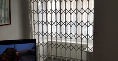 Security Grille
